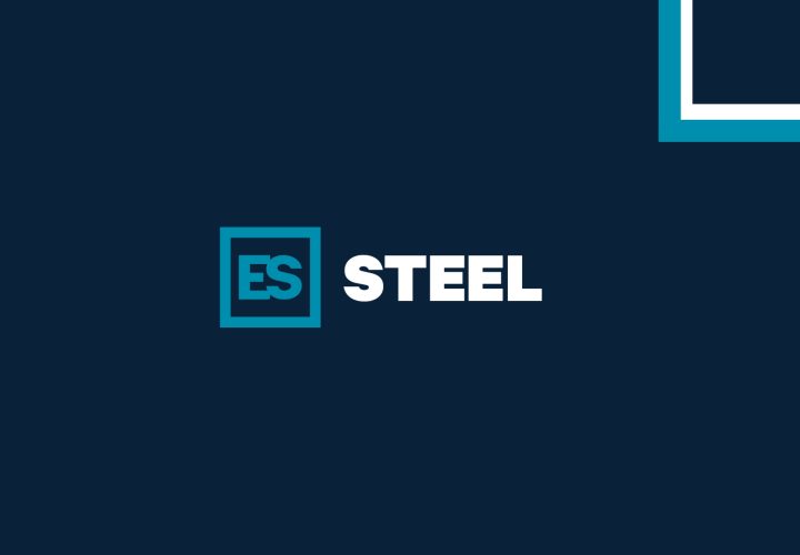 STEEL- wesbite placer